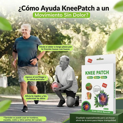 Parche Autotérmico Fitoterapéutico de Moxibustión Para Alivio Articular